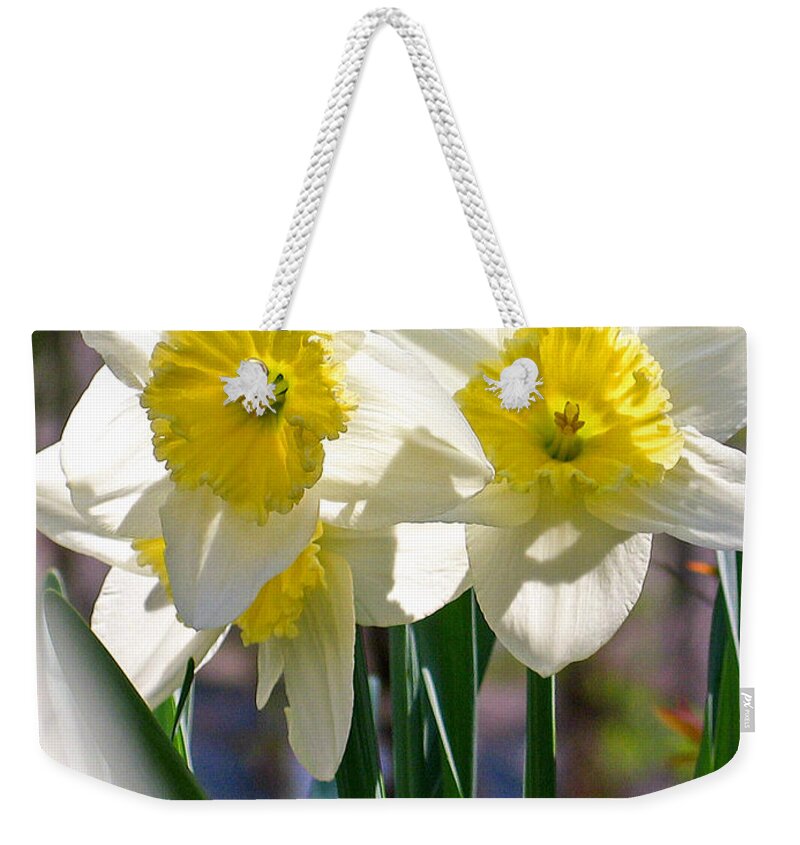 Photographic Art Weekender Tote Bag featuring the photograph Magic Daffodils by Rick Locke - Out of the Corner of My Eye
