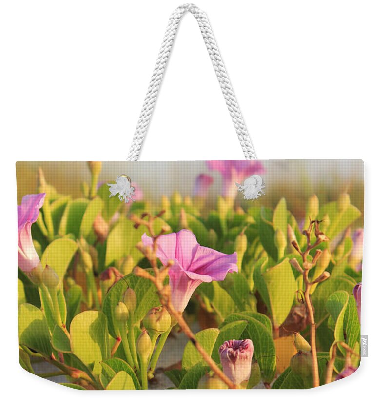 St. Augustine Weekender Tote Bag featuring the photograph Magic Garden by LeeAnn Kendall