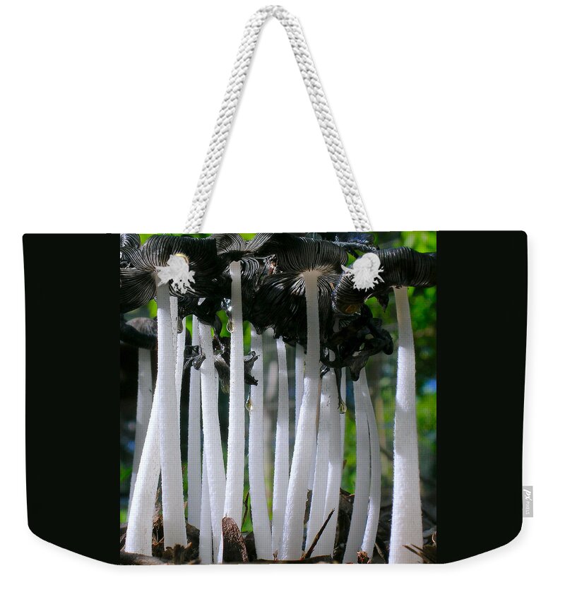 Mushrooms Weekender Tote Bag featuring the photograph Magic Mushrooms by James Temple