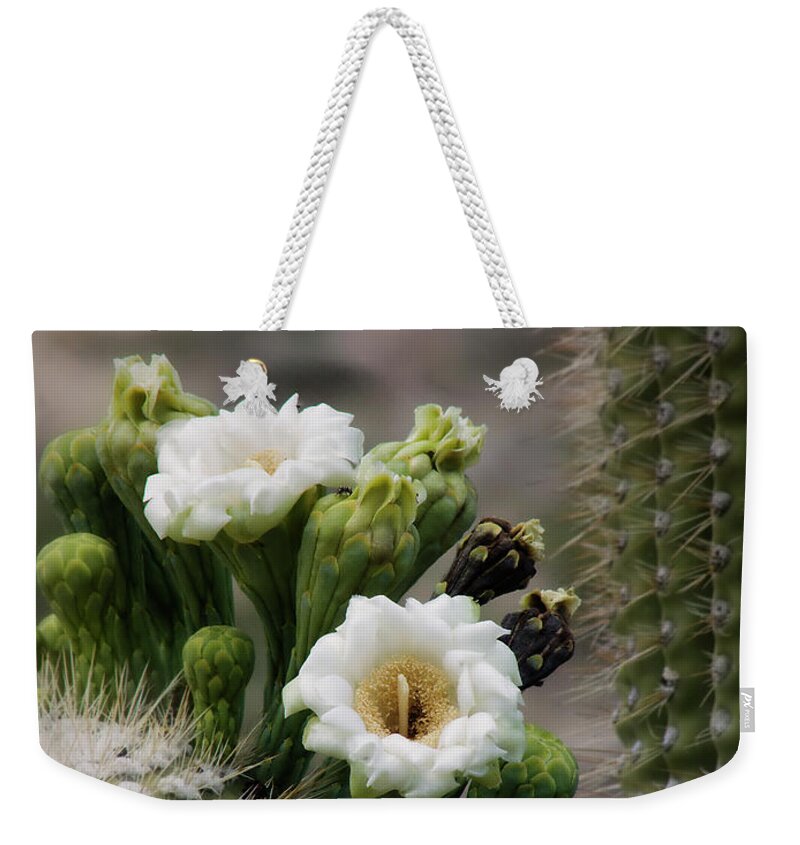 Arizona Weekender Tote Bag featuring the photograph Magnificant Bloom of the Saguaro by Lucinda Walter