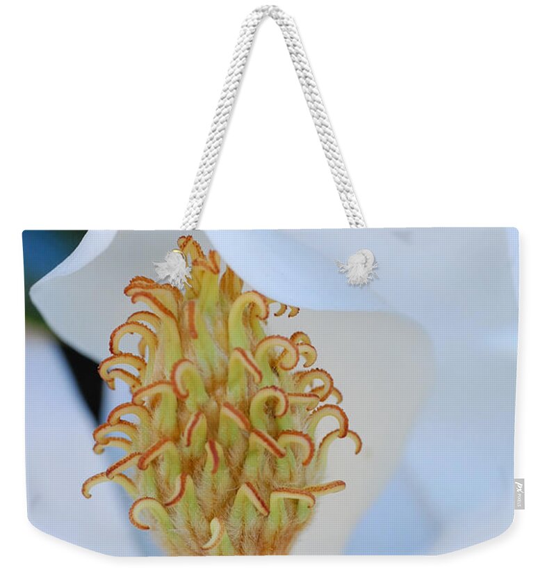 Flower Weekender Tote Bag featuring the photograph Magnolia Blossom 1 by Amy Fose
