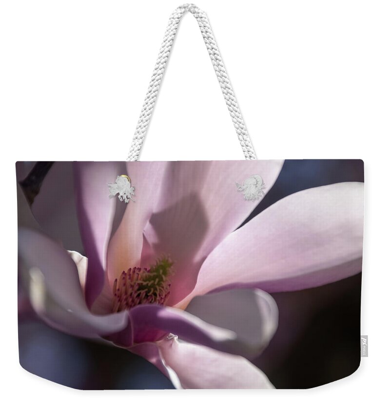 Magnolias Weekender Tote Bag featuring the photograph Magnolia Blossom - by Julie Weber