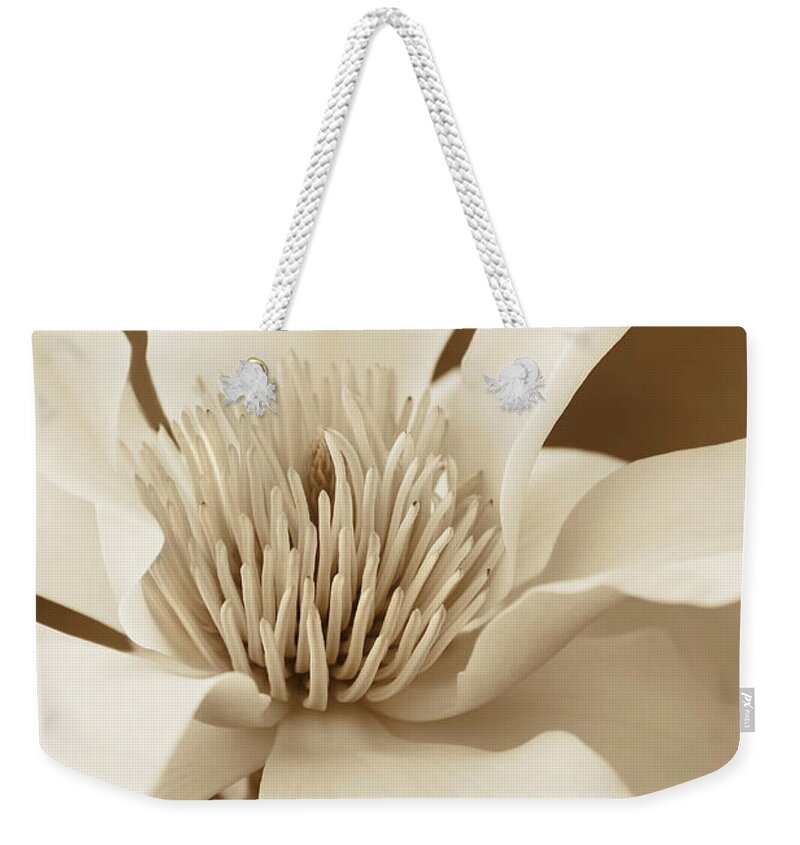 Magnolia Weekender Tote Bag featuring the photograph Kobus Magnolia Flower in Sepia Two by Jennie Marie Schell