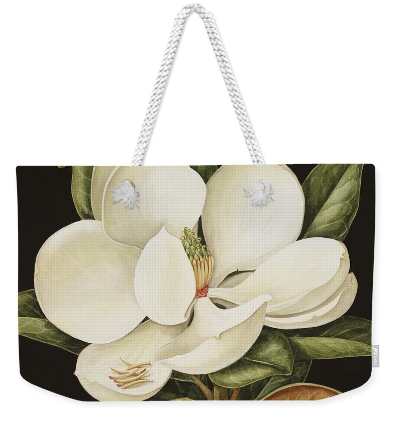 Still-life Weekender Tote Bag featuring the painting Magnolia Grandiflora by Jenny Barron