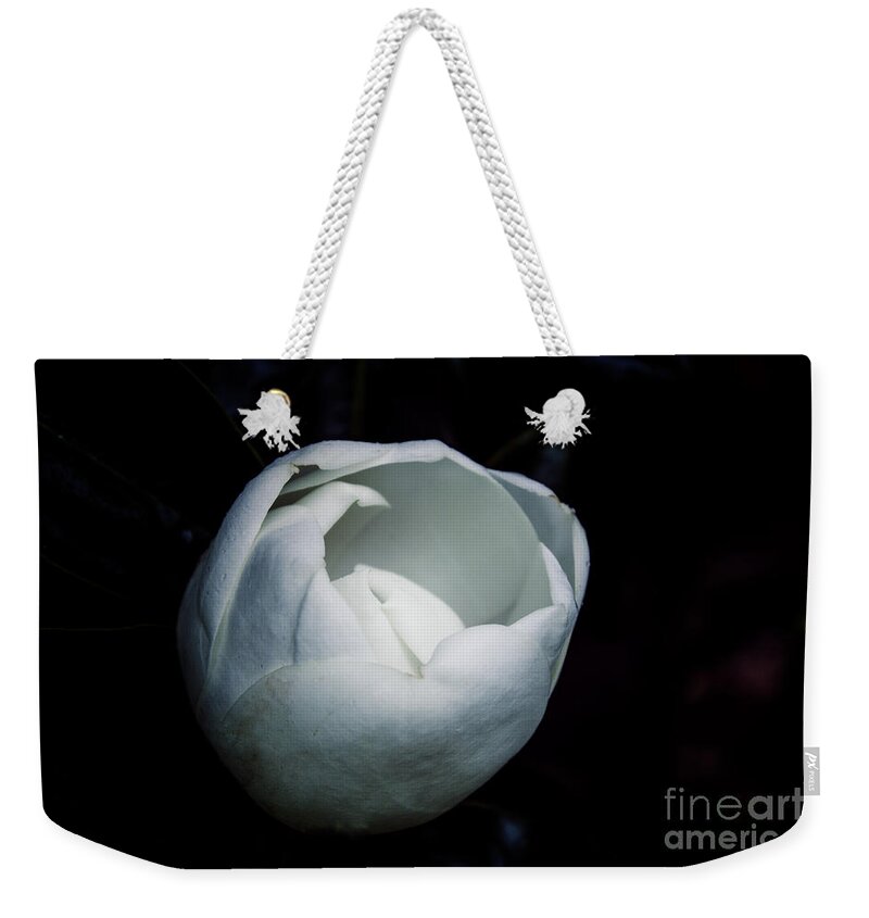 Flower Weekender Tote Bag featuring the photograph Magnolia in the Spotlight by Roberta Byram