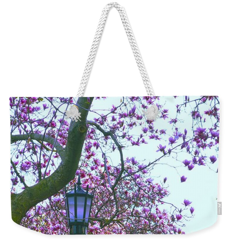 Magnolia Weekender Tote Bag featuring the photograph Magnolia Light by Sonali Gangane