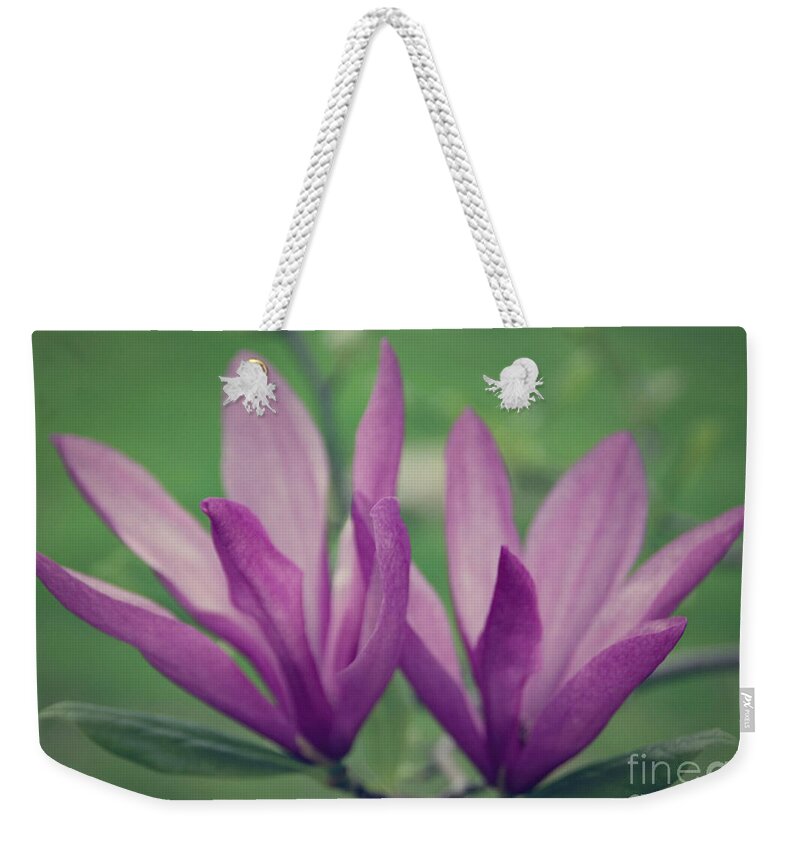  Weekender Tote Bag featuring the photograph Magnolia Liliiflora by Janice Pariza