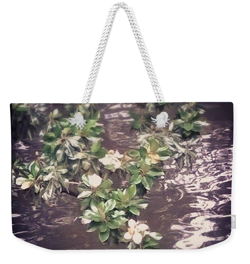 Magnolia Weekender Tote Bag featuring the photograph Magnolia over the river by Kari Myres