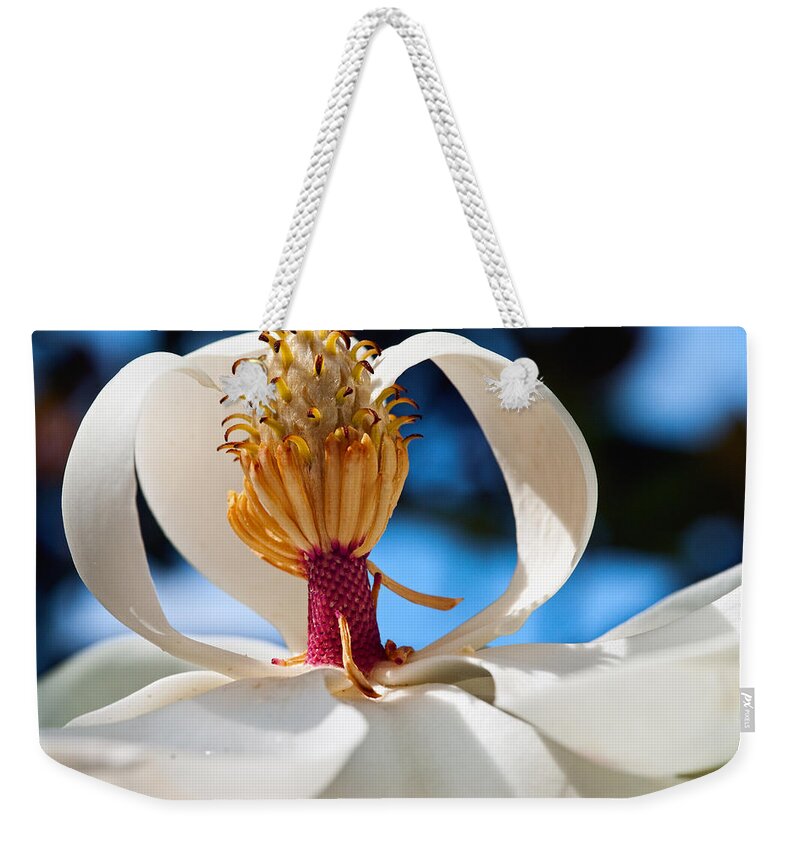 Flower Weekender Tote Bag featuring the photograph Magnolia Passing by Christopher Holmes