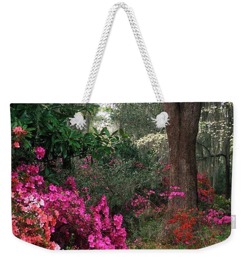 Azalea Weekender Tote Bag featuring the photograph Magnolia Plantation - FS000148a by Daniel Dempster