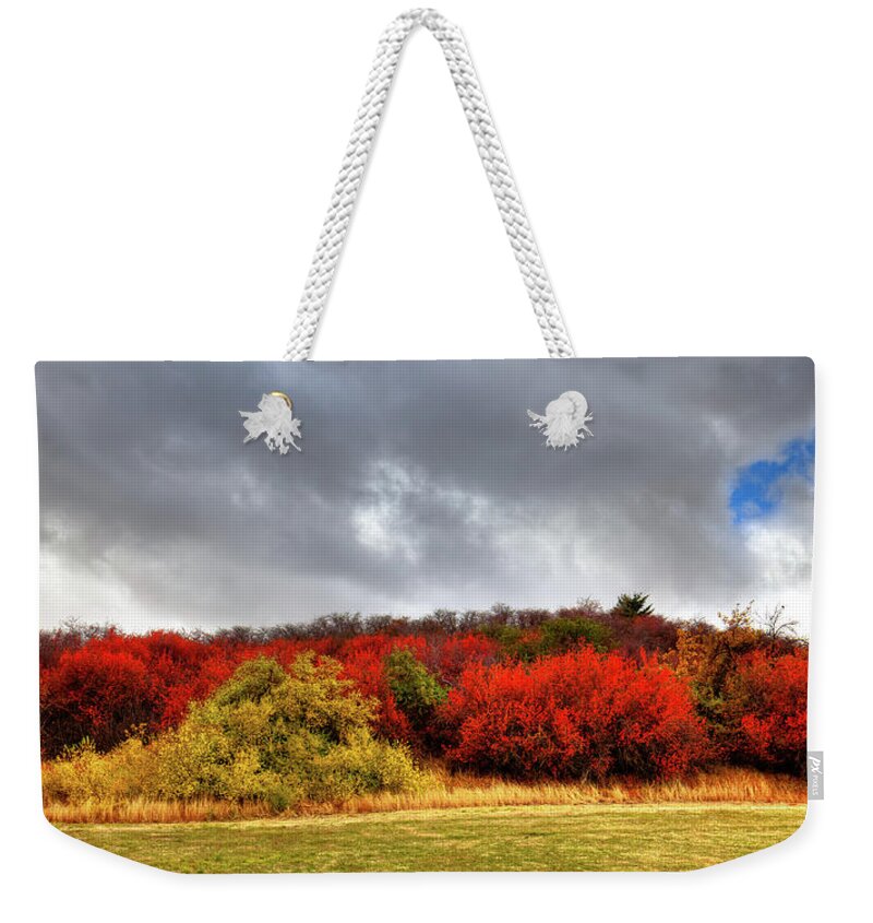 Magpie Forest Weekender Tote Bag featuring the photograph Magpie Forest by David Patterson