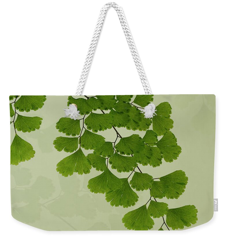 Leaves Weekender Tote Bag featuring the photograph Maiden Hair Fern With Shadows by Sandra Foster