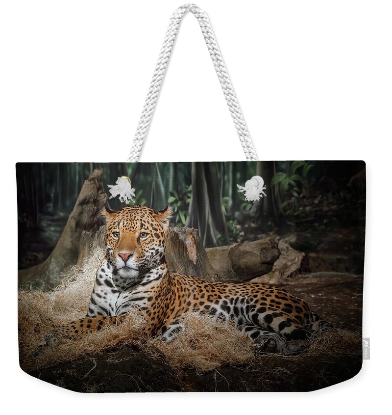 Animal Weekender Tote Bag featuring the photograph Majestic Leopard by Scott Norris