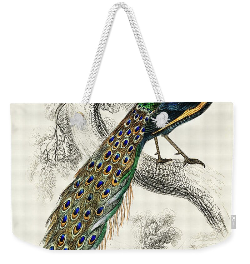1836 Weekender Tote Bag featuring the painting Majestic male peafowl portrait by Vincent Monozlay