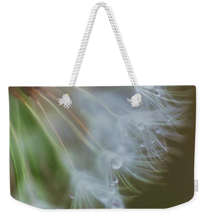 Wish Weekender Tote Bag featuring the photograph Make A Wish by Beth Sawickie