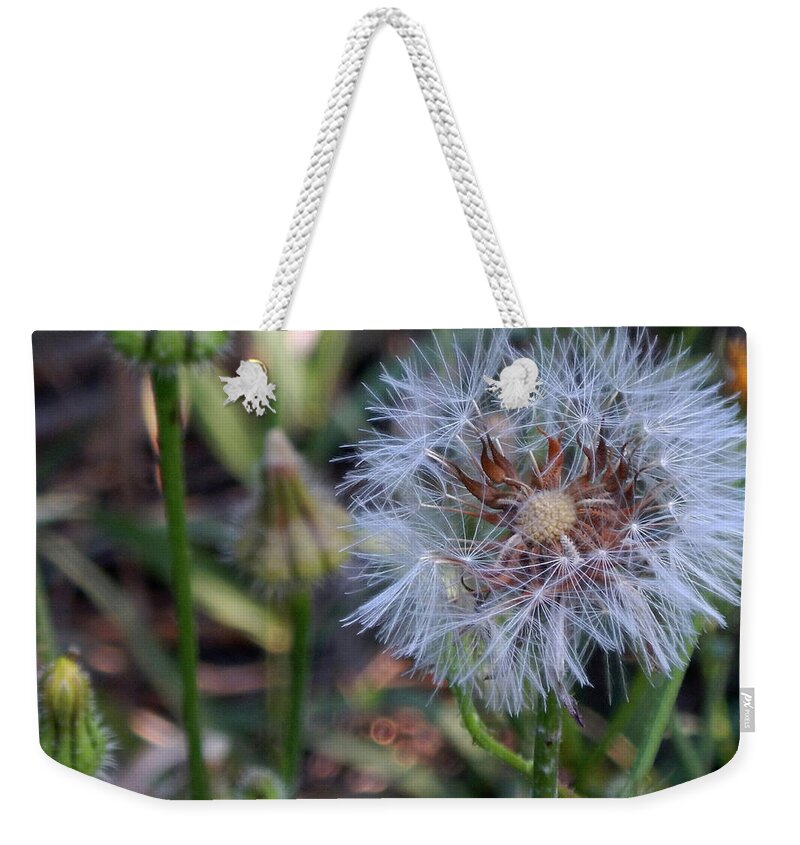 Dandelion Weekender Tote Bag featuring the photograph Make a Wish by Christopher Busuttil