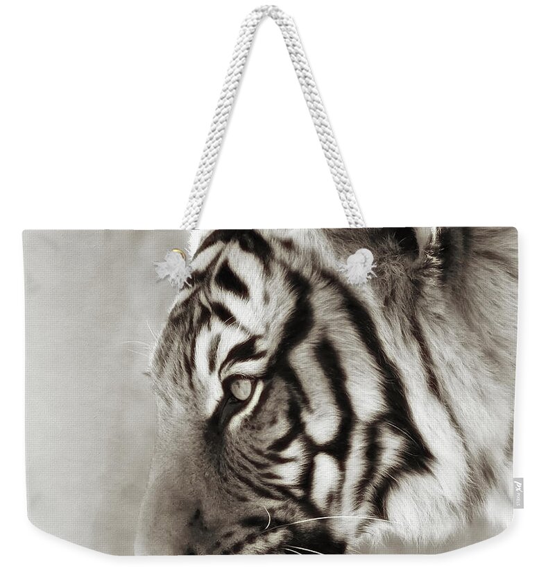 Felines Weekender Tote Bag featuring the photograph Malayan Tiger by Elaine Malott