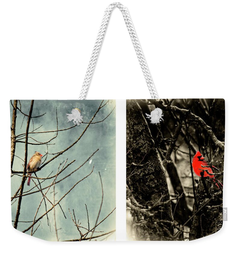 Male Cardinal Weekender Tote Bag featuring the photograph Male and Female Cardinal by Sharon Popek