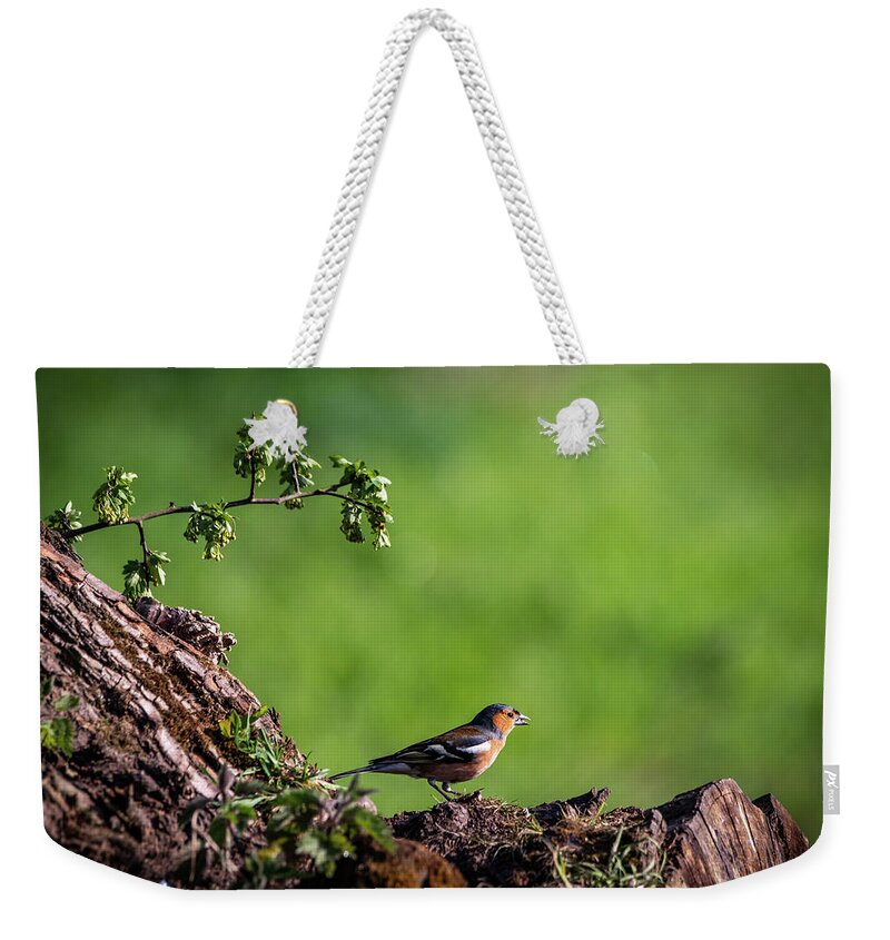 Bird Weekender Tote Bag featuring the photograph Male Chaffinch Chatting by Framing Places