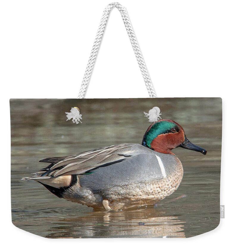 Nature Weekender Tote Bag featuring the photograph Male Green-winged Teal DWF0171 by Gerry Gantt