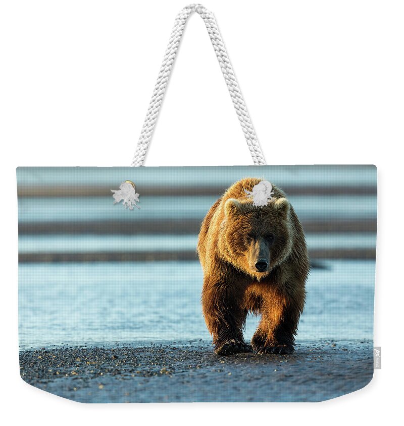 Grizzly Weekender Tote Bag featuring the photograph Male Grizzly At Low Tide by Mark Harrington