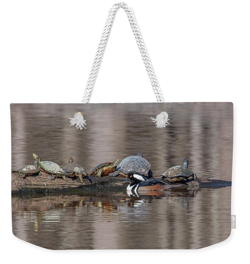Nature Weekender Tote Bag featuring the photograph Male Hooded Merganser and Basking Red-eared Sliders DWF0163 by Gerry Gantt