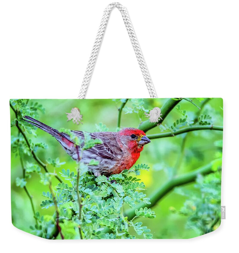 Male Weekender Tote Bag featuring the photograph Male House Finch 8360 by Tam Ryan