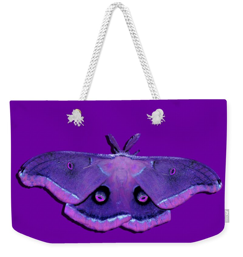 Polyphemus Moth Weekender Tote Bag featuring the photograph Male Moth Purple and Pink .png by Al Powell Photography USA