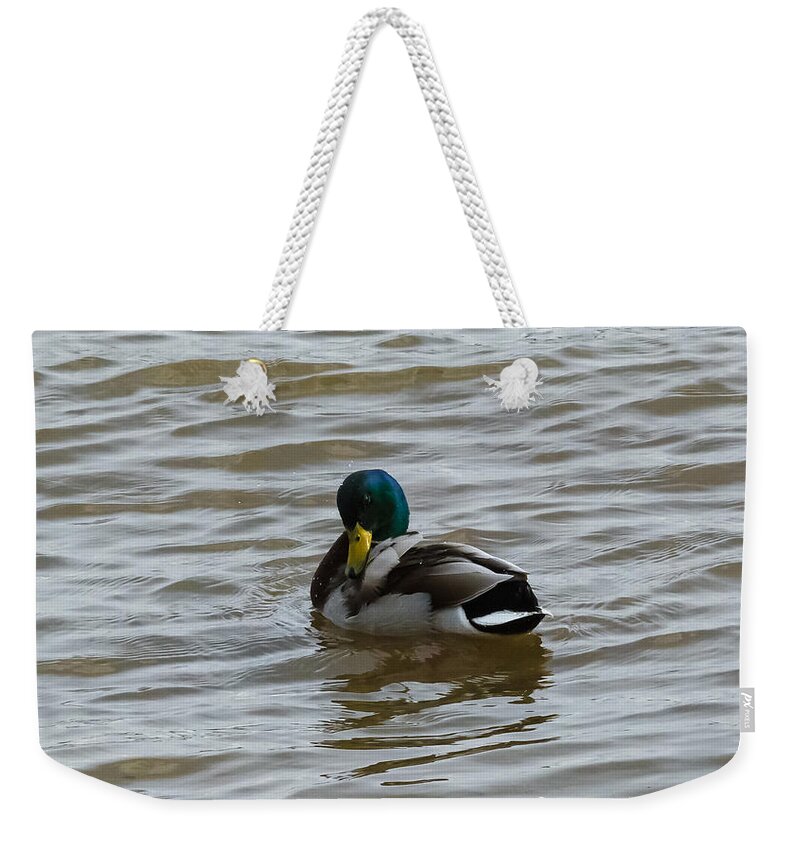 Mallard Weekender Tote Bag featuring the photograph Mallard Back Scratch by Holden The Moment