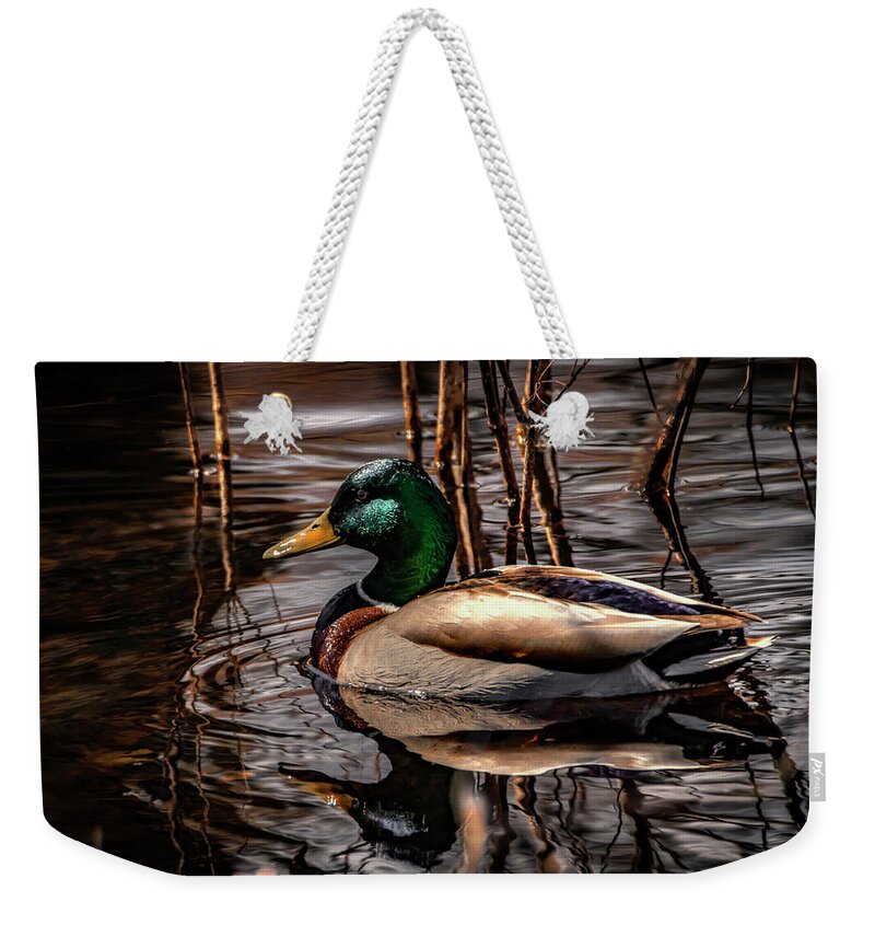 Mallard Duck Weekender Tote Bag featuring the photograph Mallard Drake by Ray Congrove