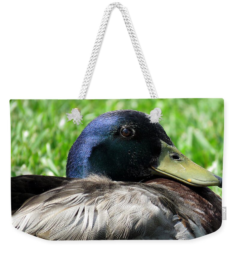 Duck Weekender Tote Bag featuring the photograph Mallard Duck 6 by J M Farris Photography