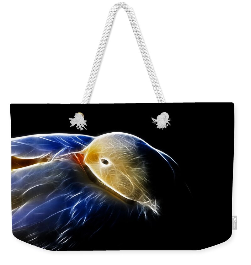 Bird Weekender Tote Bag featuring the photograph Mallard Duck Fractal by Lawrence Christopher