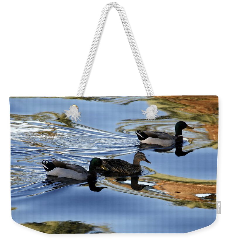 Mallard Duck Weekender Tote Bag featuring the photograph Mallard Ducks by Valerie Collins