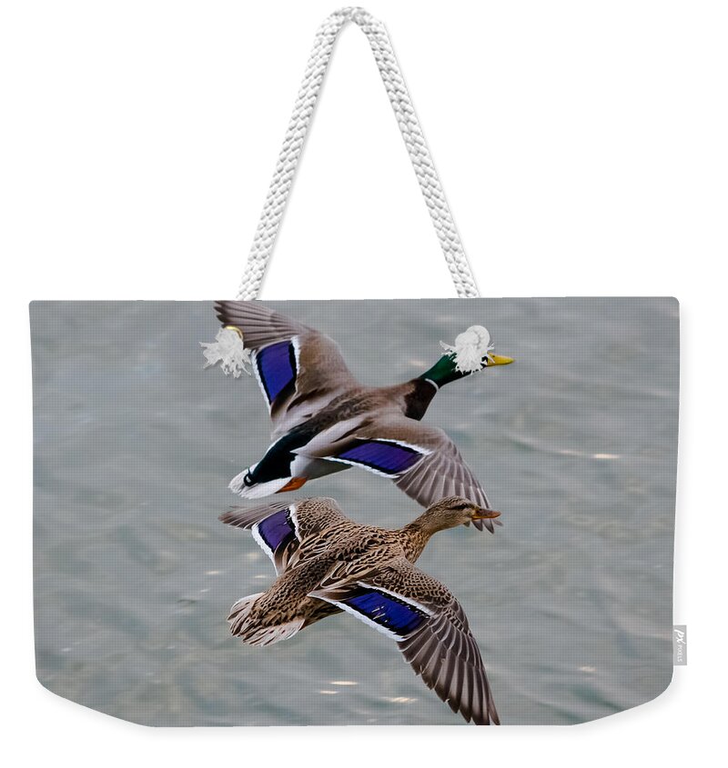 Mallards Weekender Tote Bag featuring the photograph Mallards in Flight by Holden The Moment