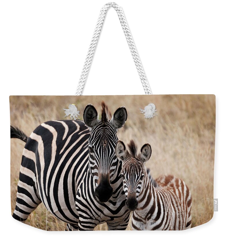 Africa Weekender Tote Bag featuring the photograph Mama and Baby Zebra by Mary Lee Dereske
