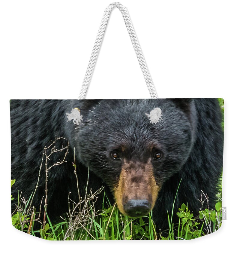 Bear Weekender Tote Bag featuring the photograph Mama Bear Means Business by Yeates Photography