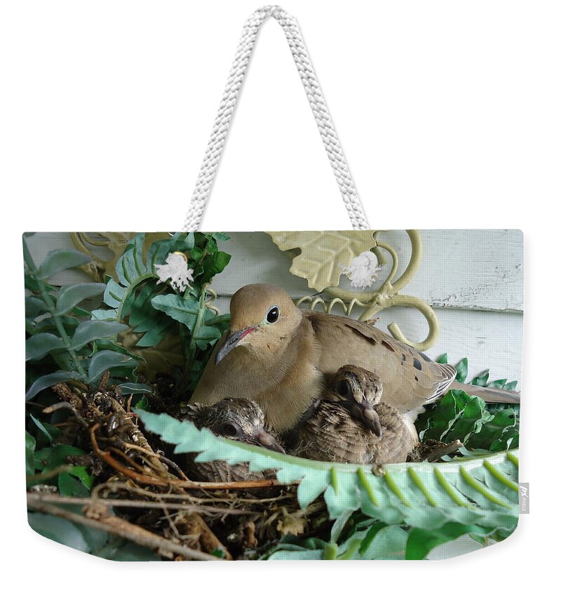 Birds Weekender Tote Bag featuring the photograph Mama Morning Dove by Leslie Manley