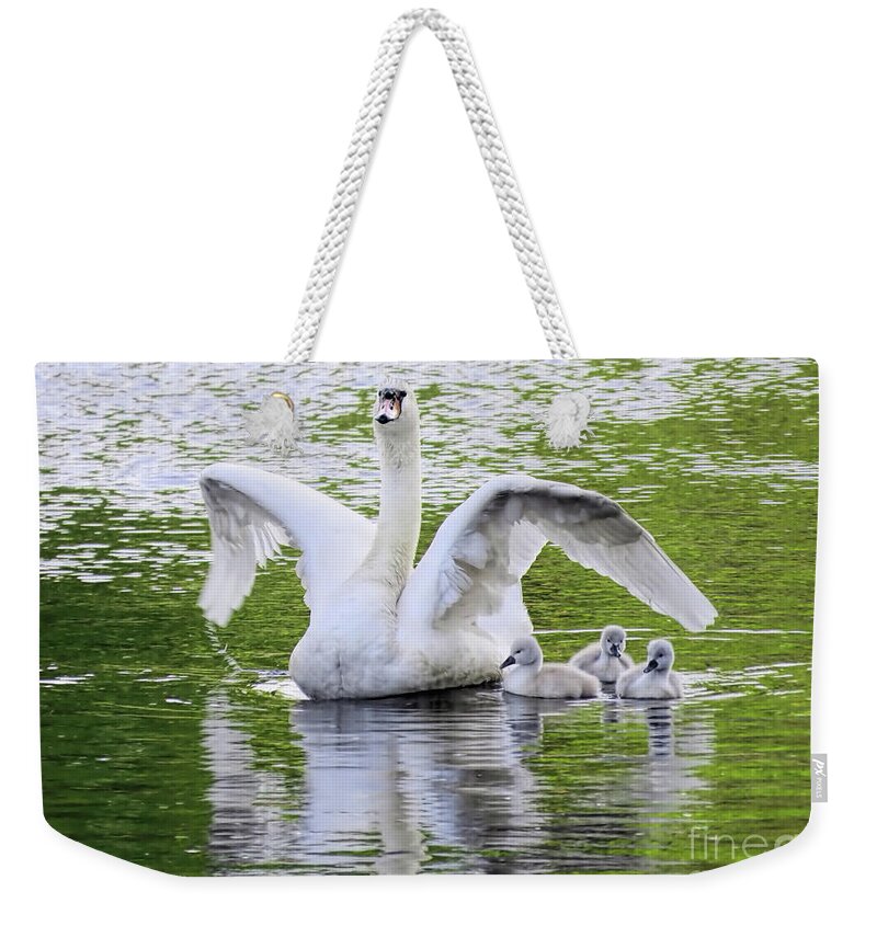 Swans Weekender Tote Bag featuring the photograph Mama Swan and Babies by Janice Drew