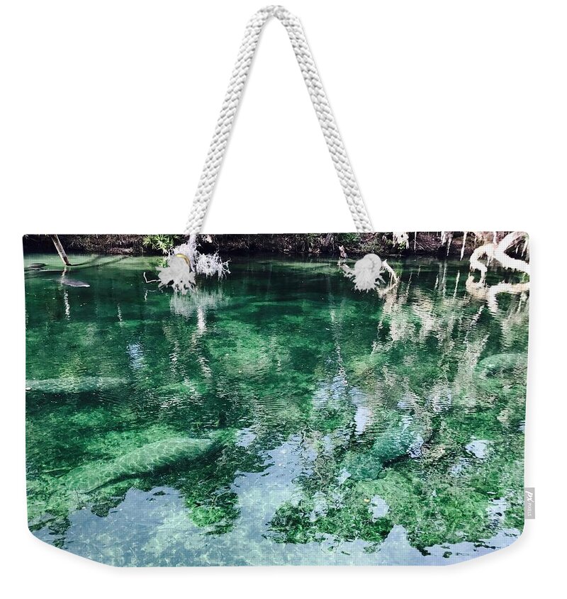 Manatees Weekender Tote Bag featuring the photograph Manatees by Michael Albright