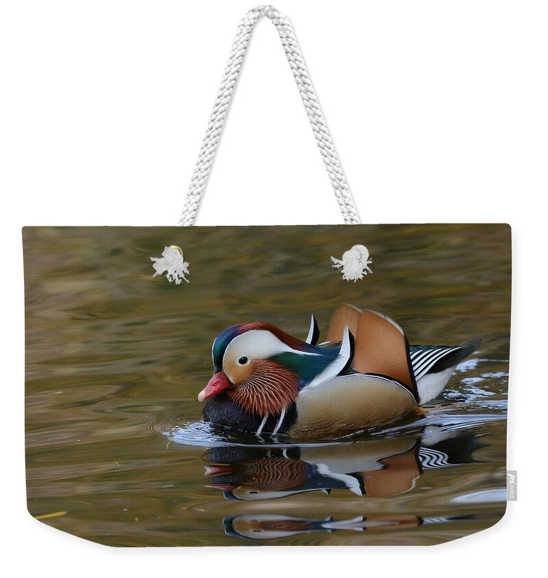 Mandarin Duck Weekender Tote Bag featuring the photograph Mandarin Reflection 2 by Fraida Gutovich