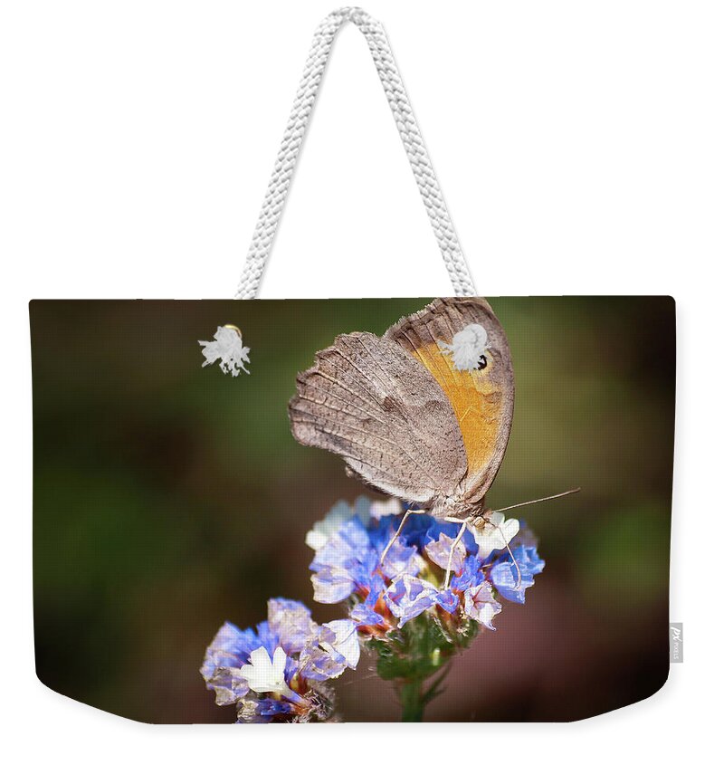 Butterfly Weekender Tote Bag featuring the photograph Maniola telmessia by Meir Ezrachi