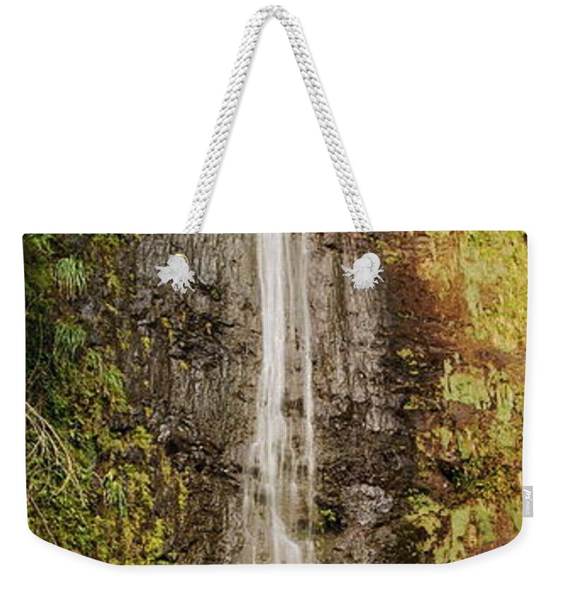 Manoa Weekender Tote Bag featuring the photograph Manoa Falls by Michael Peychich