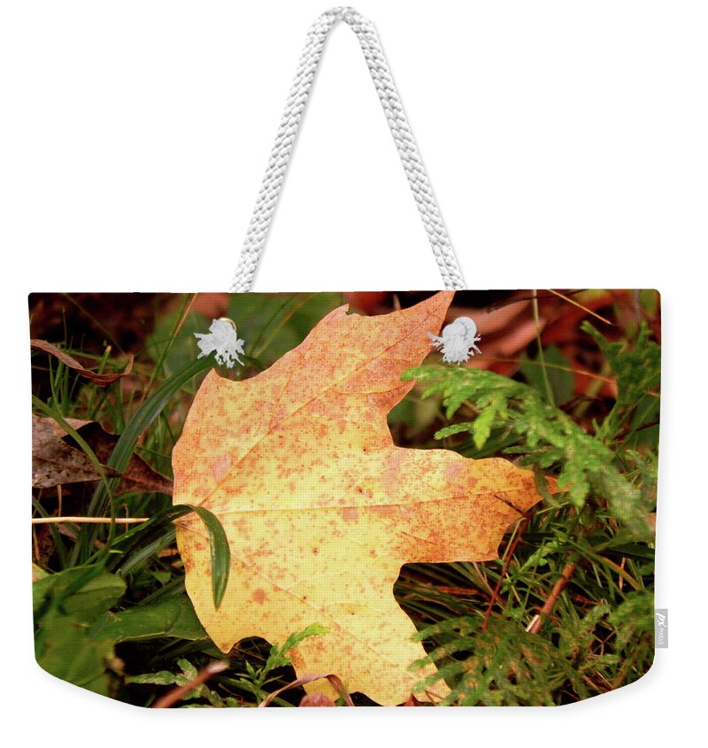 Autumn Weekender Tote Bag featuring the photograph Maple and Cedar by Wild Thing