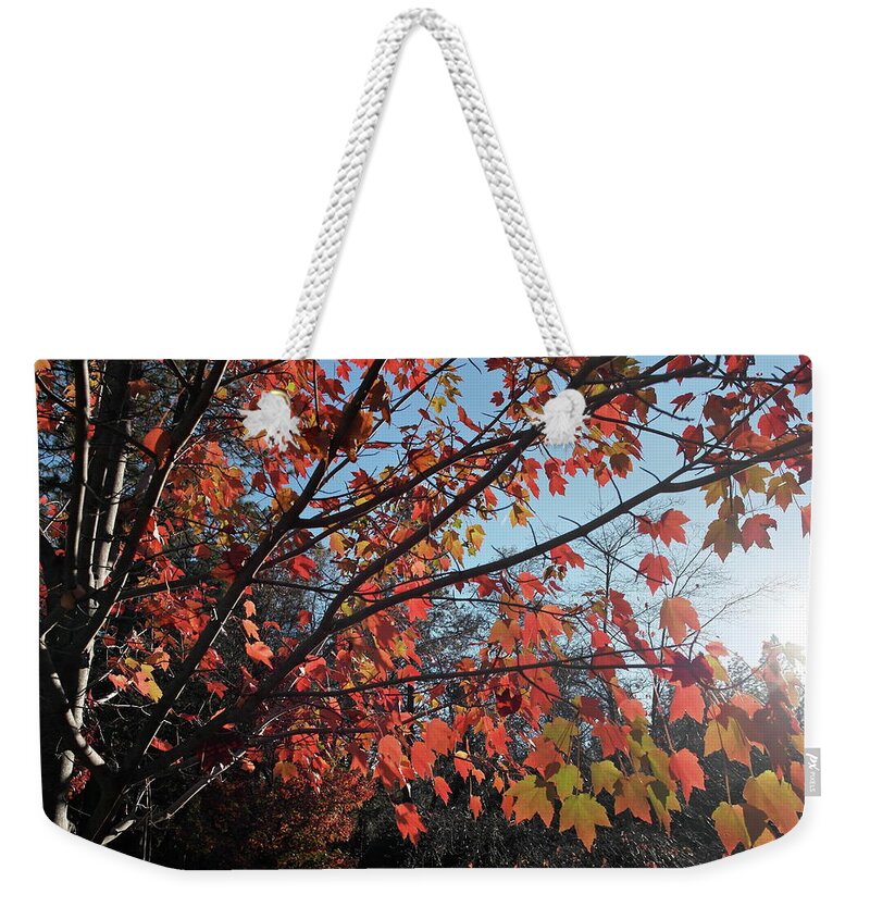 Bille Park Weekender Tote Bag featuring the photograph Maple Evening Illuminations by Michele Myers