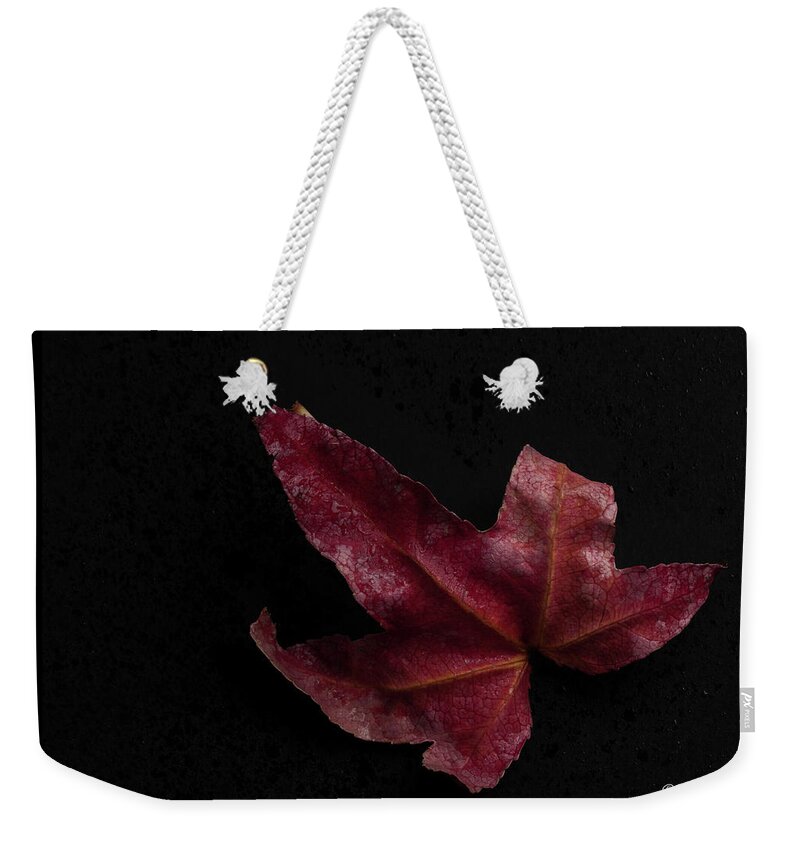 Autumn Weekender Tote Bag featuring the photograph Maple Leaf by Alexander Fedin