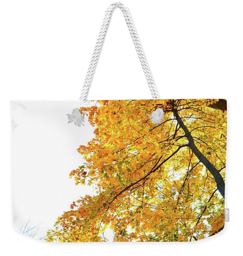 Abstract Weekender Tote Bag featuring the photograph Maple's Above by Lyle Crump