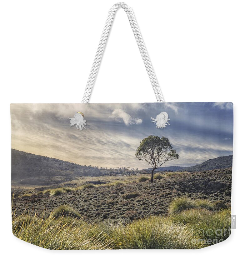 Kremsdorf Weekender Tote Bag featuring the photograph March Across The Endless Plain by Evelina Kremsdorf