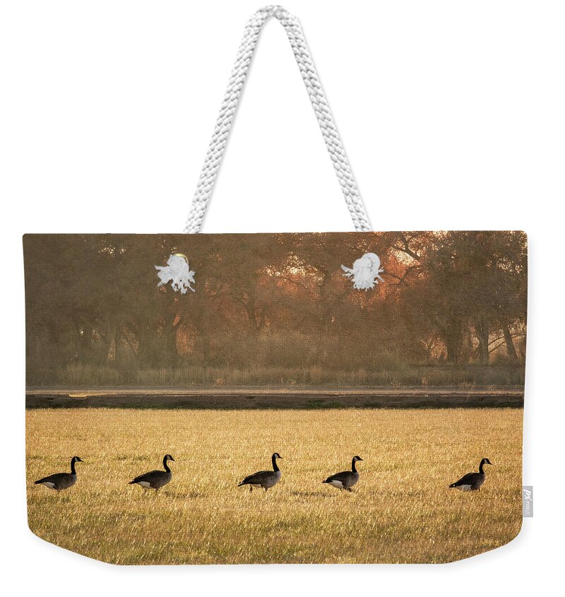 Scenics Weekender Tote Bag featuring the photograph March of the Geese by Mary Lee Dereske