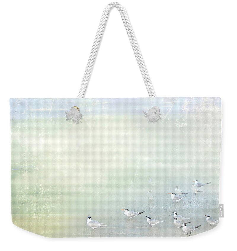Marco Island Weekender Tote Bag featuring the photograph Marco Morning by Karen Lynch