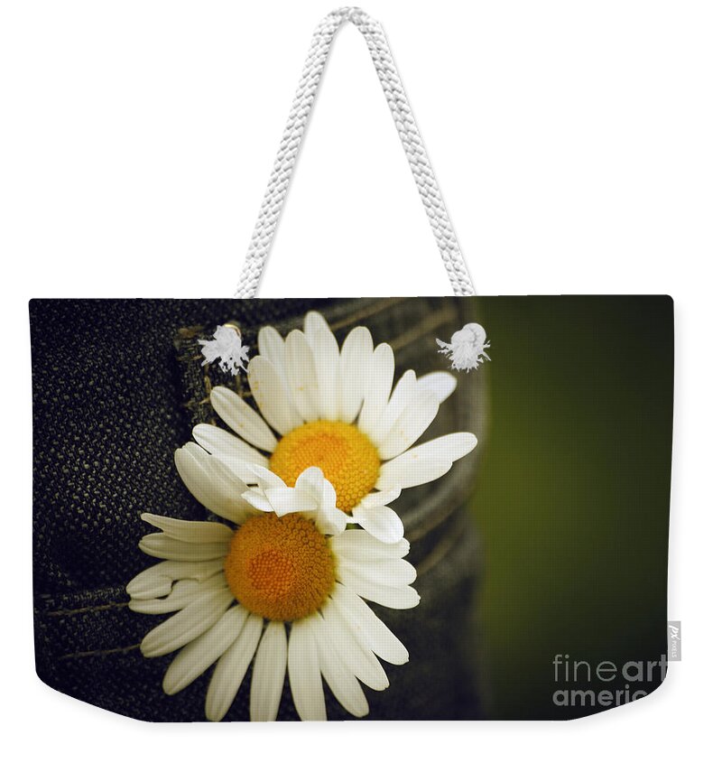 Flowers Weekender Tote Bag featuring the photograph Margarite flowers by Dimitar Hristov